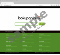 Lookupopinion.com