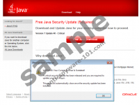 Java Software Critical Update
