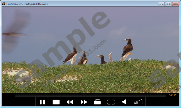 test