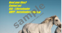 HorseLeader Ransomware